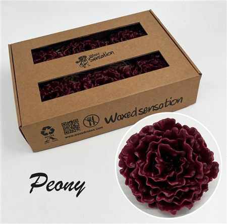 FeedSync:wholesale:5f5317e2fdd9f1899c27ca26ff666dfc1c254f98