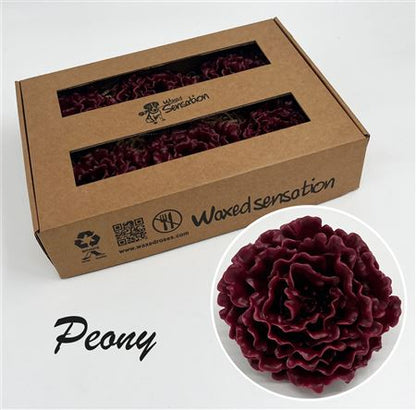 FeedSync:wholesale:5f5317e2fdd9f1899c27ca26ff666dfc1c254f98