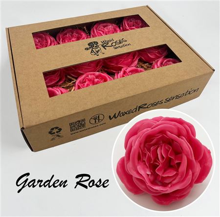 FeedSync:wholesale:3c910ea6909bdbb47ef02170d4b921b72eb2efb1