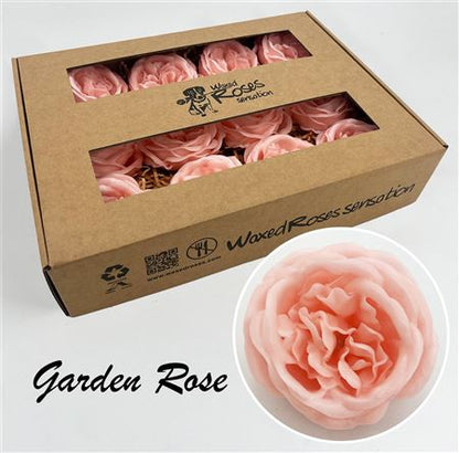 FeedSync:wholesale:cbd98417a37057cd0bec257fba2aabf721ffe222