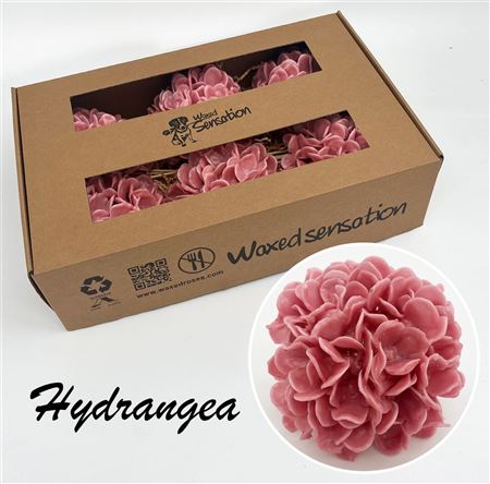 FeedSync:wholesale:a74ad52460265c166fc7bbfdd369e728e1edcdd5