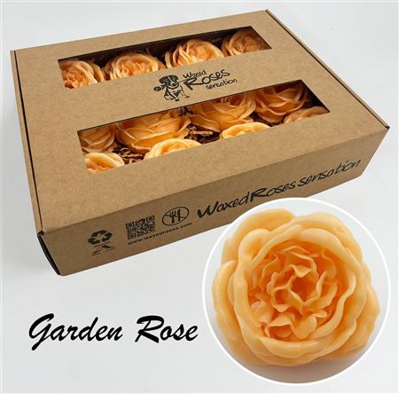 FeedSync:wholesale:78b31154903bd5fdd25d7b8f41fc62d85270b000