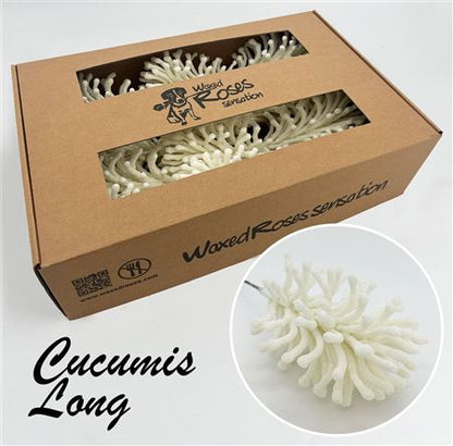 FeedSync:wholesale:3730910f2033602585315a703a530456400b47b1