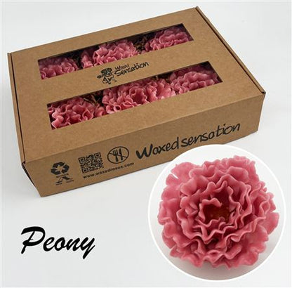 FeedSync:wholesale:8b67b73fe3688aec4c034b2990afa2f774fcbf0b