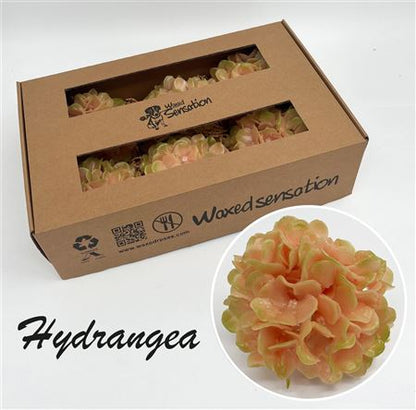 FeedSync:wholesale:7a41c205b7e07b2dcac1914caef3dabaa06e09e0