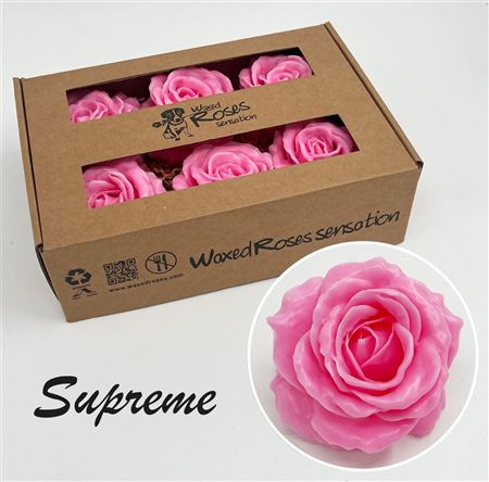FeedSync:wholesale:86af97fe024d53c9f1771fca861b3f735d700b60