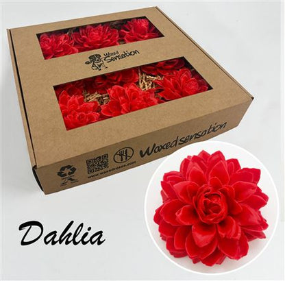 FeedSync:wholesale:c52da165a9b32d2edec27ad1e01dc659a9a54922