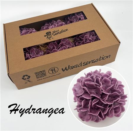 FeedSync:wholesale:783895907236ff3985e038d784f7b352c86142c2