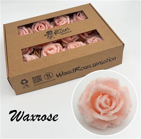 FeedSync:wholesale:b41e22ef2f7336a258dbabbbe01571eed6a6410b