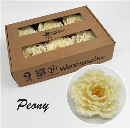FeedSync:wholesale:b3feb042eb5d55b46e0c61efc76fe1341bab977c