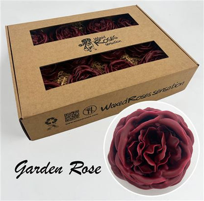 FeedSync:wholesale:549cd3b02a45f6e8f07b7c37233627dc7cf47501