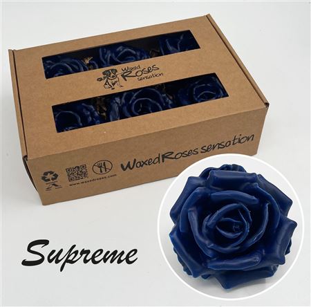 FeedSync:wholesale:3af752a20798d9be30b55f8574991a76bba79906