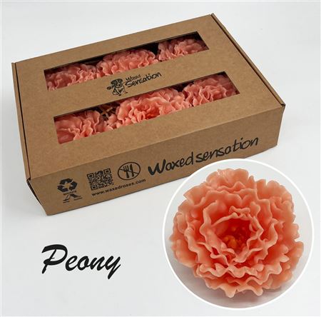 FeedSync:wholesale:ec29b20efa6458dea3dbbae7795422d8793e7818