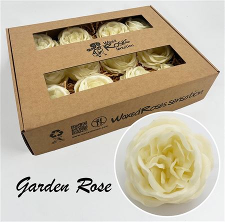 FeedSync:wholesale:ee1c74ec8582ad105ea2cec70ec29bd3d1ab892e