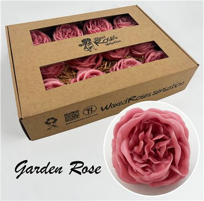FeedSync:wholesale:d60c65c3d9a6597efc924584b85434fc2e24efce