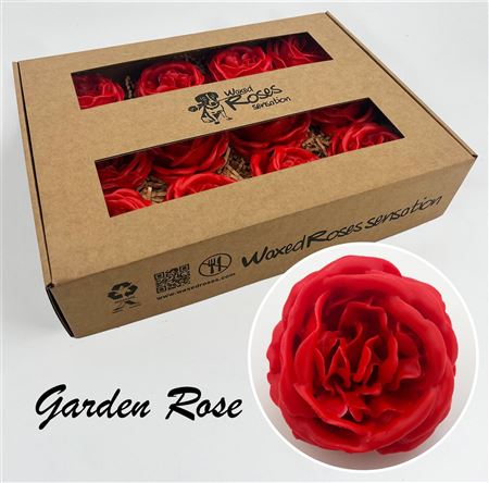 FeedSync:wholesale:cd625d65622dbd8b4a9d7a140574ed392d707ce7