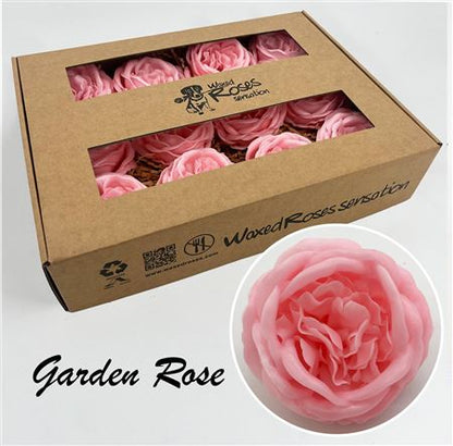 FeedSync:wholesale:933c14c70f1a1852e1f24ff376acde8dfbc490a4