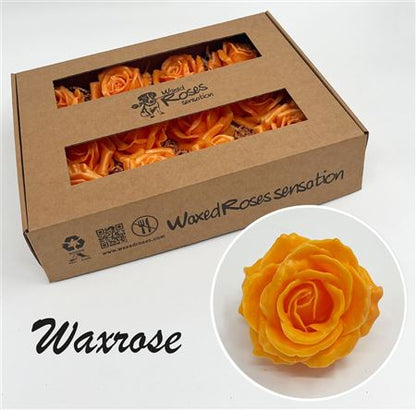 FeedSync:wholesale:47b091981ffe11555a66d00d72c9522cbda538f0