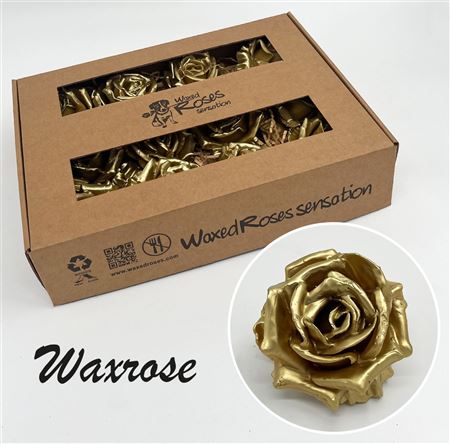 FeedSync:wholesale:5b33371149e00c3b1a2f6555cc92ae8ab91a24f3
