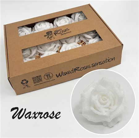 FeedSync:wholesale:e7f99f7a888c2f5b4d002aacddc4fc70b1626c1f
