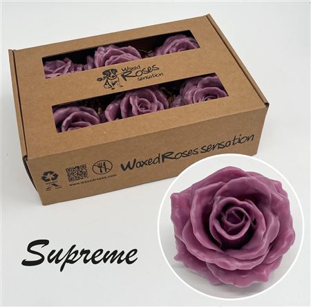 FeedSync:wholesale:64e20ce14a4525a5010cd324ffb20ef38938dd5a