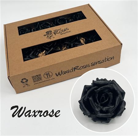 FeedSync:wholesale:6ffc37def60994c595732c4048a749e874fa3194