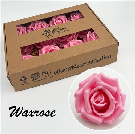 FeedSync:wholesale:cde5d0c1d4968a7be25a6ce01bd5baf94804a5c8