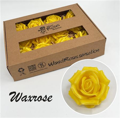 FeedSync:wholesale:e1ea4e6593810b17c9eb36e8966d47dfbfd6390c