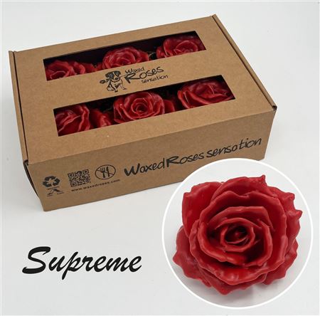 FeedSync:wholesale:c9e7fbb13766d1f758f2acd64ea9c1144f16b132