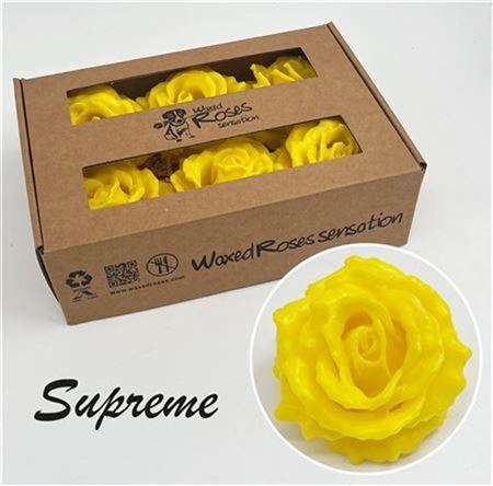 FeedSync:wholesale:bbceca37369669c0486d74dac4089d5b2ae75aca