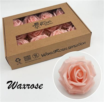 FeedSync:wholesale:0b0ca8abe0906a2146c80ee9b23ea8e00b4d993e