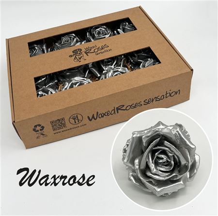 FeedSync:wholesale:7781c656433eb8a81da5a56af1ff65ce12b1ccfd