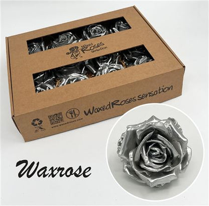 FeedSync:wholesale:7781c656433eb8a81da5a56af1ff65ce12b1ccfd