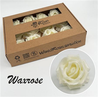 FeedSync:wholesale:58a08ea92fab8e1f7b99394e75e6c1d5ed4ba3e2