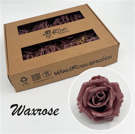 FeedSync:wholesale:3e21638499f9cec97032d0c5f633905f6eabbb7d