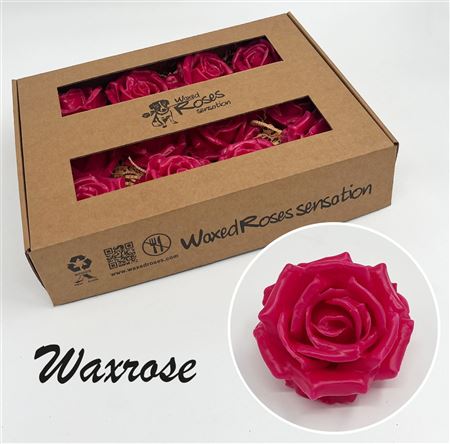 FeedSync:wholesale:02d248ae7191af20b572a3977c478b20b723a49e
