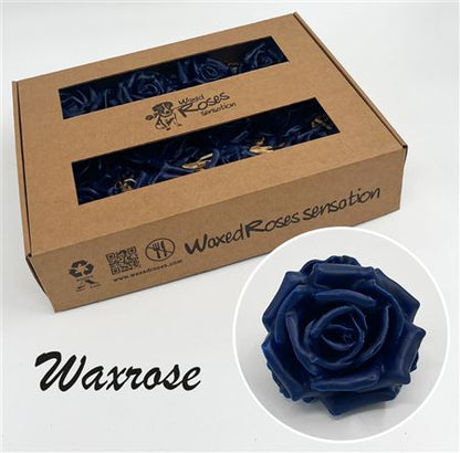 FeedSync:wholesale:79163e6a1047afd59f95db96254e3575b9958ca8