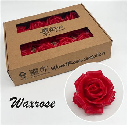 FeedSync:wholesale:50737347f81fdb624e28fc34b9947f8bc94e2261