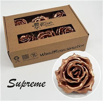 FeedSync:wholesale:643619a0e1a7eb5f7e88afed08ec9a67b07abd4a