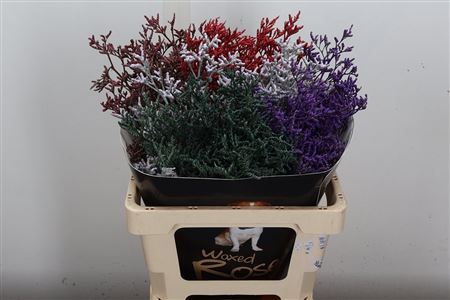 FeedSync:wholesale:b4824a68bf5318f0e8e6949b73d712f3e7d8cc19