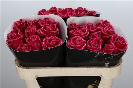 FeedSync:wholesale:9cb6f128fa3c4c5761f157de9e5f3483d89a6fd5