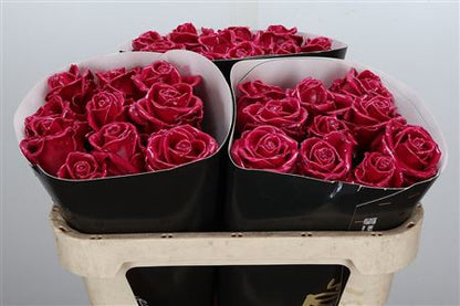 FeedSync:wholesale:9cb6f128fa3c4c5761f157de9e5f3483d89a6fd5