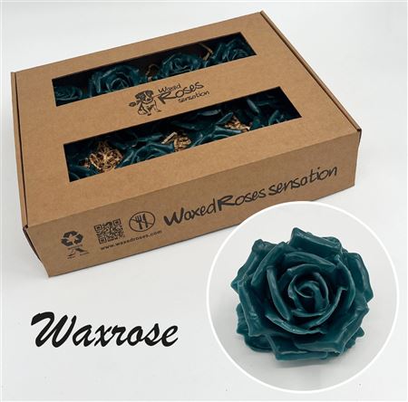 FeedSync:wholesale:ddd63d0d8eca1aeb517d9719927732b3f27b1784