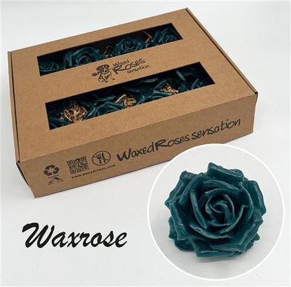 FeedSync:wholesale:ddd63d0d8eca1aeb517d9719927732b3f27b1784