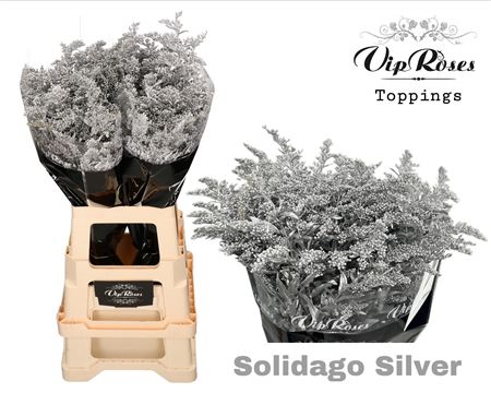 FeedSync:wholesale:56df6d16e05b94a6651d5cef0ad484c387a2529d