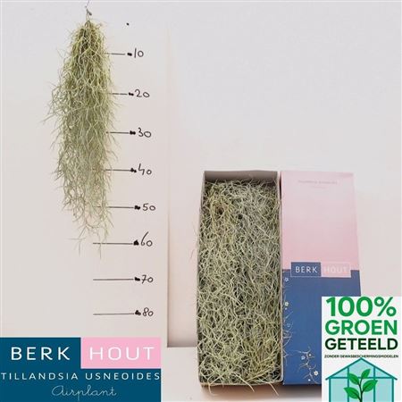 FeedSync:wholesale:c0036d669e8a4a14b1918d822a06724252c03e41