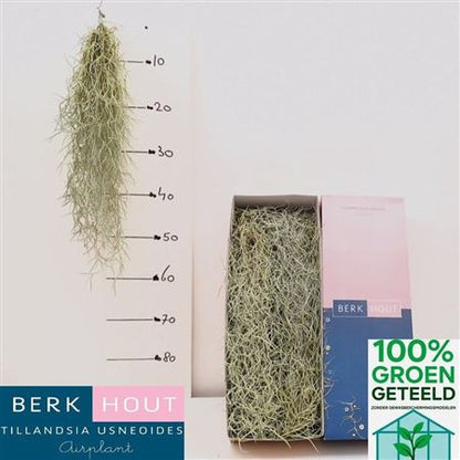 FeedSync:wholesale:c0036d669e8a4a14b1918d822a06724252c03e41