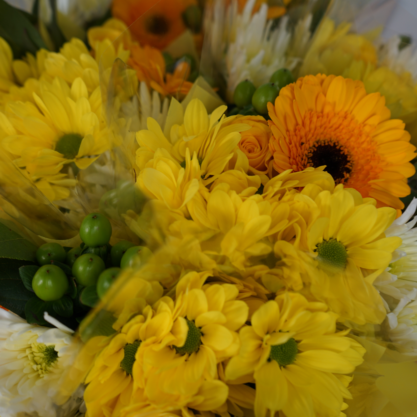 5 Stem Yellow Bouquet (10 Bunches)