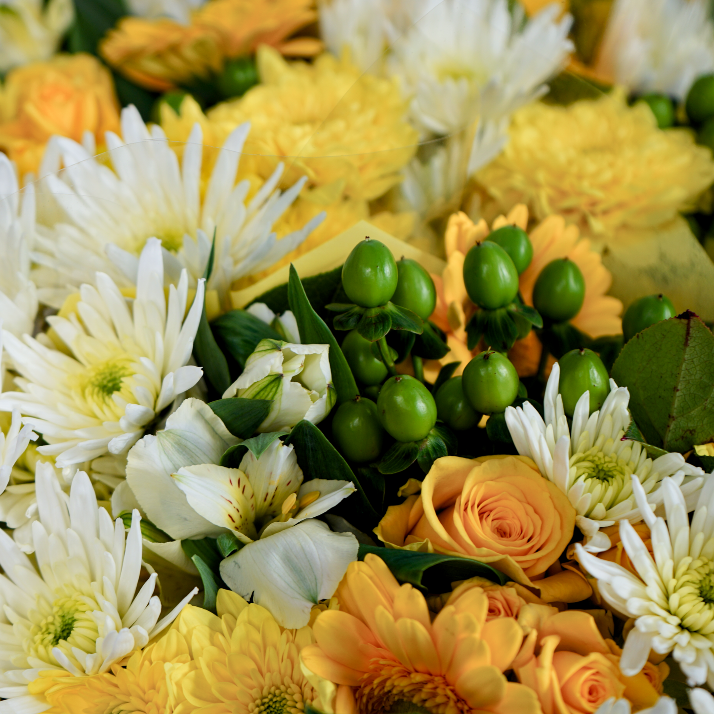 10 Stem Yellow Bouquet (10 Bunches)