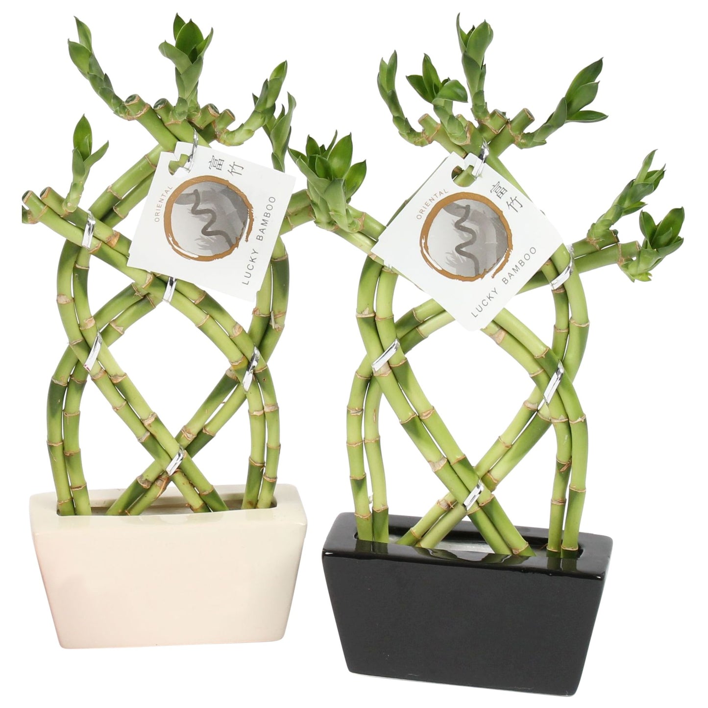 Dra Lucky Bamboo Braided Keramiek Zwart & Wit